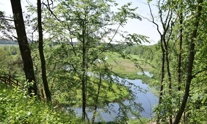 Edukacyjno-przyrodnicza ścieżka na terenie gminy Lubowidz przybliża bogactwo lokalnej przyrody, fot. Urząd Gminy w Lubowidzu