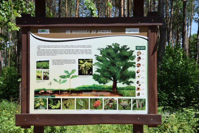 Edukacyjno-przyrodnicza ścieżka ekologiczna w okolicy wsi Łazy przybliża bogactwo lokalnej przyrody, fot. Urząd Gminy w Lubowidzu