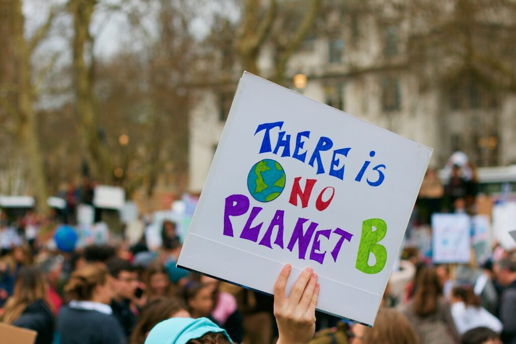 demonstracja klimatyczna. Napis na kartonie "There id no planet B" - Nie ma planety B