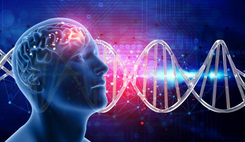 Model głowy ludzkiej z zaznaczonym mózgiem. Przez głowę przechodzi spirala DNA, fot. Freepik
