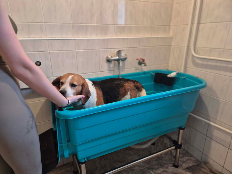 W Zespole Szkół im. Leokadii Bergerowej w Płocku. Przyszli technicy weterynarii mają w szkole prawdziwe zaplecze zawodowe