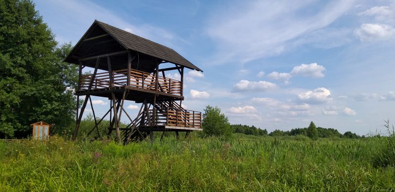 Ochrona przyrody w mazowieckich parkach krajobrazowych
