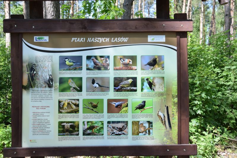 Edukacyjno-przyrodnicza ścieżka ekologiczna w okolicy wsi Łazy przybliża bogactwo lokalnej przyrody, fot. Urząd Gminy w Lubowidzu